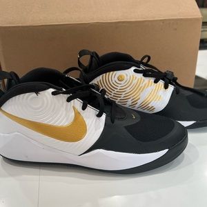 Nike Team Hustle D9 GS’ Black Metallic Gold